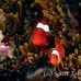 anemonefish_spinecheek_mid_h_0705_png1335.jpg